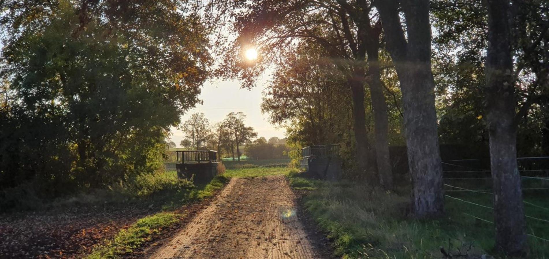 Ferienhaus Q1, Ruhe Und Erholung In Der Eifel Zulpich Dış mekan fotoğraf
